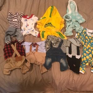Puppy or small dog clothes